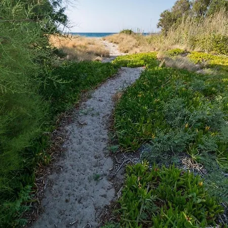 El Mar
